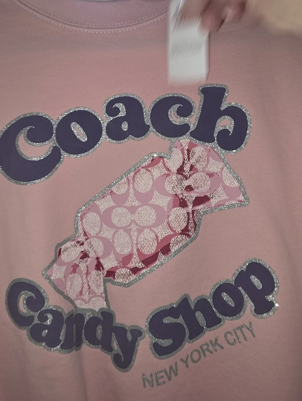 COACH PINK CANDY SHOP 100% ORGANIC COTTON HEAVY SWEATSHIRT! NEW!